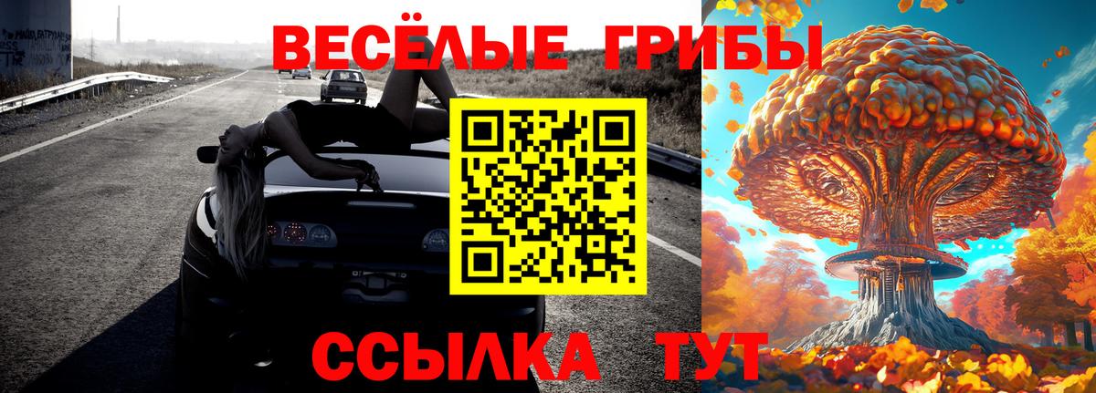 Комсомольск-на-Амуре  Псилоцибиновые грибы Cubensis  наркота  Вход с VPN 